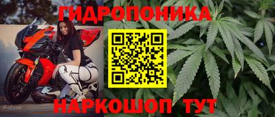 прущие грибы Ирбит
