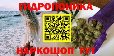 a pvp Камышлов