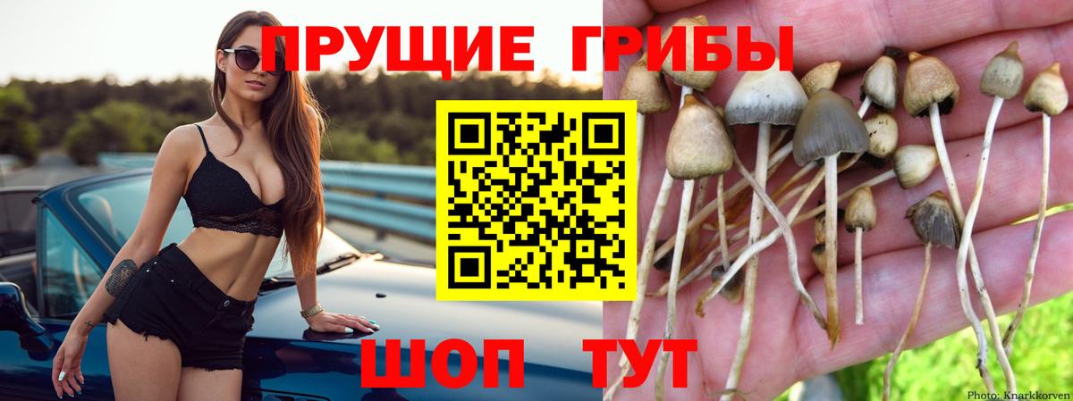Псилоцибиновые грибы ЛСД Кумертау